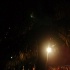 gfw_2007_rave-001