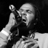 jamrock_reggae_fest07_pt1-029