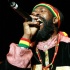 jamrock_reggae_fest07_pt1-155
