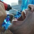miami_carnival_2007_pt1-307