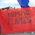 miami_carnival_2007_pt2-010