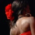 miss_tnt_ny_2007-067