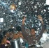shine_2007-031