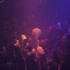 space_la_nouba_jul07-014