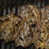 stlucia_food_rum_2007_fri-069