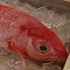 stlucia_food_rum_2007_sun-016
