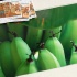 stlucia_food_rum_2007_sun-033