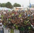 tampa_carnival_2007-124