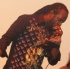 tampa_carnival_2007-148