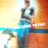 tao_miami_2007-001