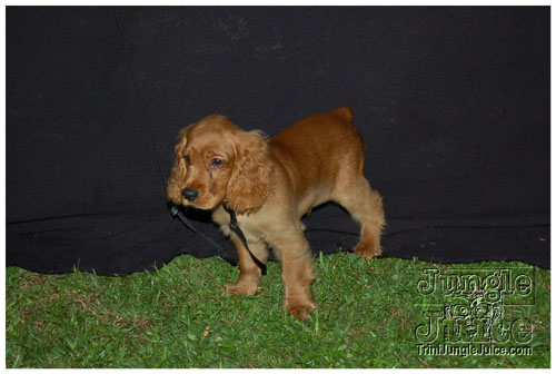 the_picnic_2007-057