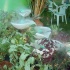 the_picnic_2007-017