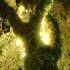 the_shade_aug24-004