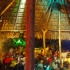 the_shade_aug25-011
