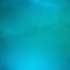 3_some_nov14-024