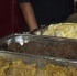 babash_river_lime_mar27-025