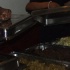 babash_river_lime_mar27-026