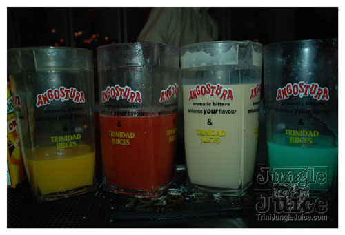 beach_house_carnival_2008_pt2-168