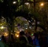 bpf_nov08-028