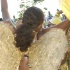 broward_carnival_2008_pt2-191
