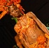cic_all_incl_2008-180