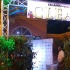 clear_dec16-001