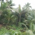 csn_san_souci_mar08-095