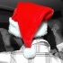 cuchi_la_la_dec13-177
