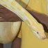 dc_carnival_2008_pt2-045