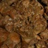 dc_2008_cooldown-059