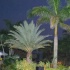dv8_miami_2008-023