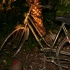 flight_wi_apr08-076
