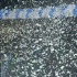 gfw_2008_fantasktik_fri-003