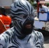 ip_mon_2008_pt1-138