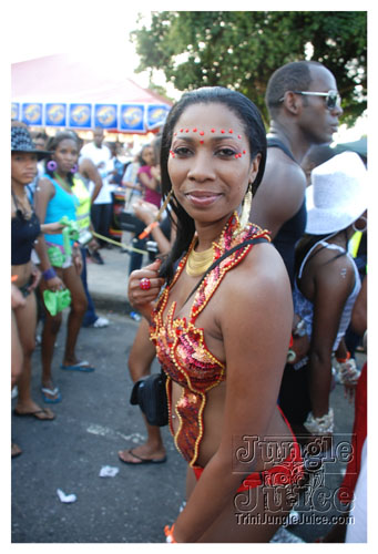 ip_mon_2008_pt2-253