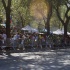 labor_day_ny_2008-019