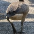 machel_sixflags_2008-011