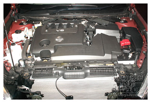 neal_massy_car_show_nov6-056