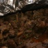 soca_or_die_2_nyc-121