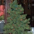 soca_summit_dec20-092