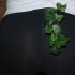 soca_under_de_mistletoe_dec6-014