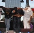st_lucia_jazz_festival_2008_sun-096