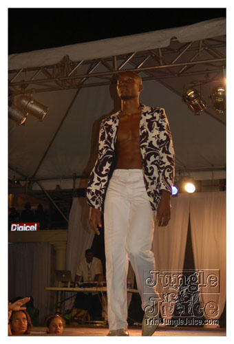 synergy_model_finals_3_oct2k8-035