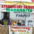 tampabay_carnival_2008_sat-012