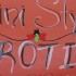 tampabay_carnival_2008_sat-023