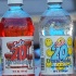 tampabay_carnival_2008_sat-024