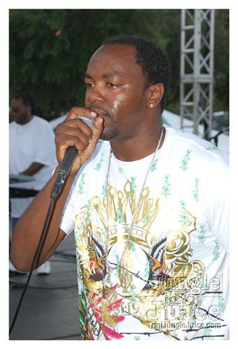 tampabay_carnival_2008_sun-241