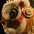 taste_t&t_2008-049