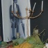 taste_t&t_2008-073