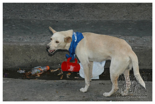 tribe_tue_2008_pt1-205